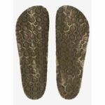 SANDALIAS QUICKSILVER EMBARK GREEN | Mechanic