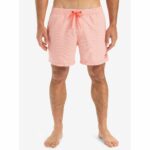 BAÑADOR QUIKSILVER EVERYDAY DELUXE 15