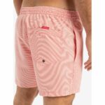 BAÑADOR QUIKSILVER EVERYDAY DELUXE 15