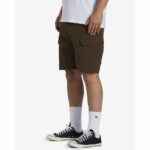 PANTALONES CORTOS SURFTREK TRASPORT 19´ COFFEE BEAN. Mechanic Tienda de Ropa