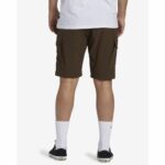 PANTALONES CORTOS SURFTREK TRASPORT 19´ COFFEE BEAN. Mechanic Tienda de Ropa