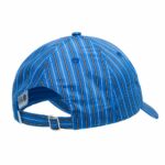 GORRA ELEMENT FLUKY CAP STRIPE BLUE. Mechanic Tienda de Ropa