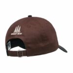 GORRA ELEMENT SBXE FLUKY BRACKEN. Mechanic Tienda de Ropa