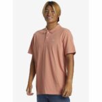 POLO QUIKSILVER DNA CANYON CLAY. Mechanic Tienda de Ropa