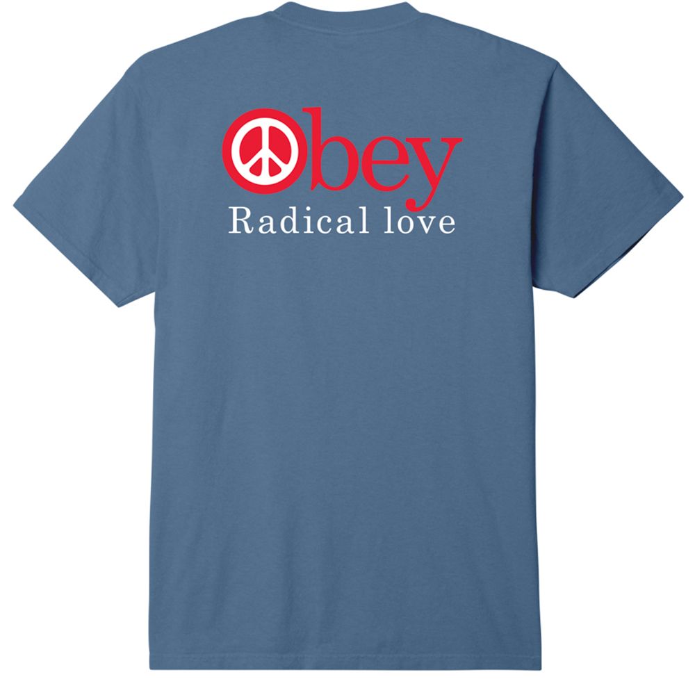 CAMISETA OBEY RADICAL LOVE | Mechanic