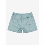 BAÑADOR QUIKSILVER EVERYDAY DELUXE 15