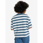 CAMISETA QUICKSILVER BOYFRIEND CROP STRIPED. Mechanic Tienda de Ropa