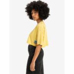 CAMISETA QUICKSILVER MAXICROP POPCORN. Mechanic Tienda de Ropa